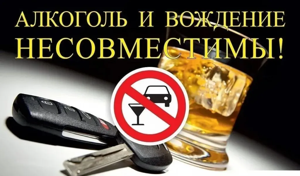 За неделю в Запорожской области 16 водителей наказали за пьяную езду