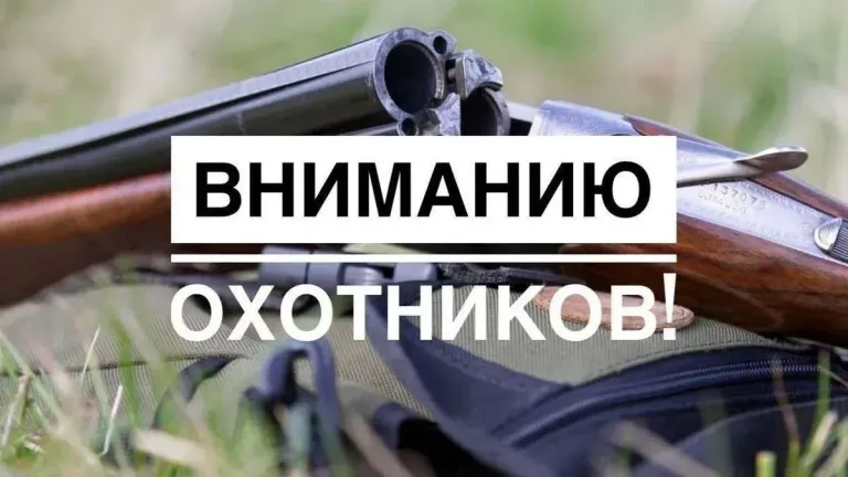Охотничьи билеты в Запорожской области выдают без экзамена до конца 2026 года